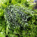 Home Decorations Landscaping Foliage Vertical Green Wall